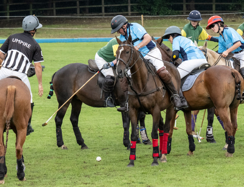 John Nash aims for Guinness World Record as Oldest Polo Player